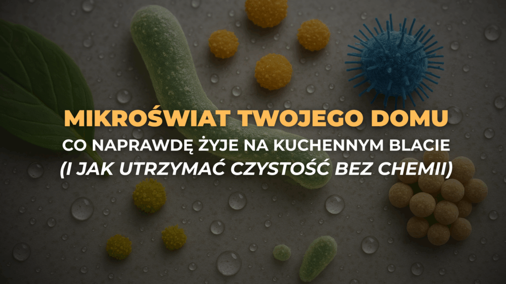Mikroświat twojego domu – co naprawdę żyje na kuchennym blacie